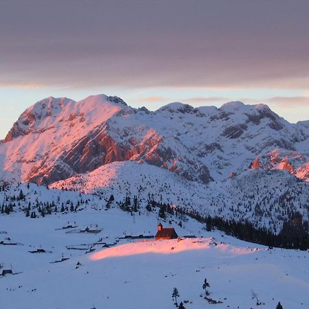 Velika Planina - Chalet Stane - Alps Stahovica Eksteriør bilde