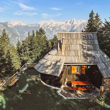 Velika Planina - Chalet Stane - Alps Stahovica Eksteriør bilde