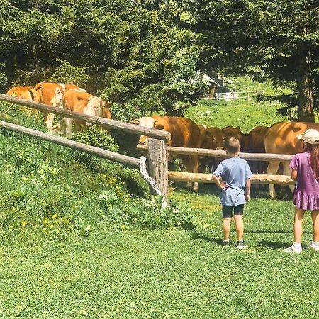 Velika Planina - Chalet Stane - Alps Stahovica Eksteriør bilde