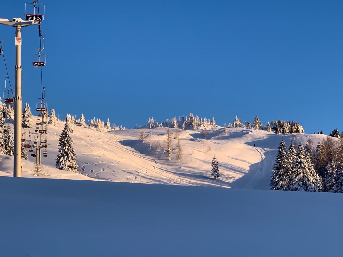 Velika Planina - Chalet Stane - Alps Stahovica Eksteriør bilde