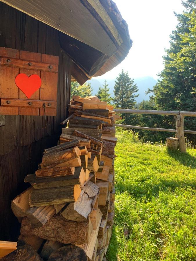 Velika Planina - Chalet Stane - Alps Stahovica Eksteriør bilde
