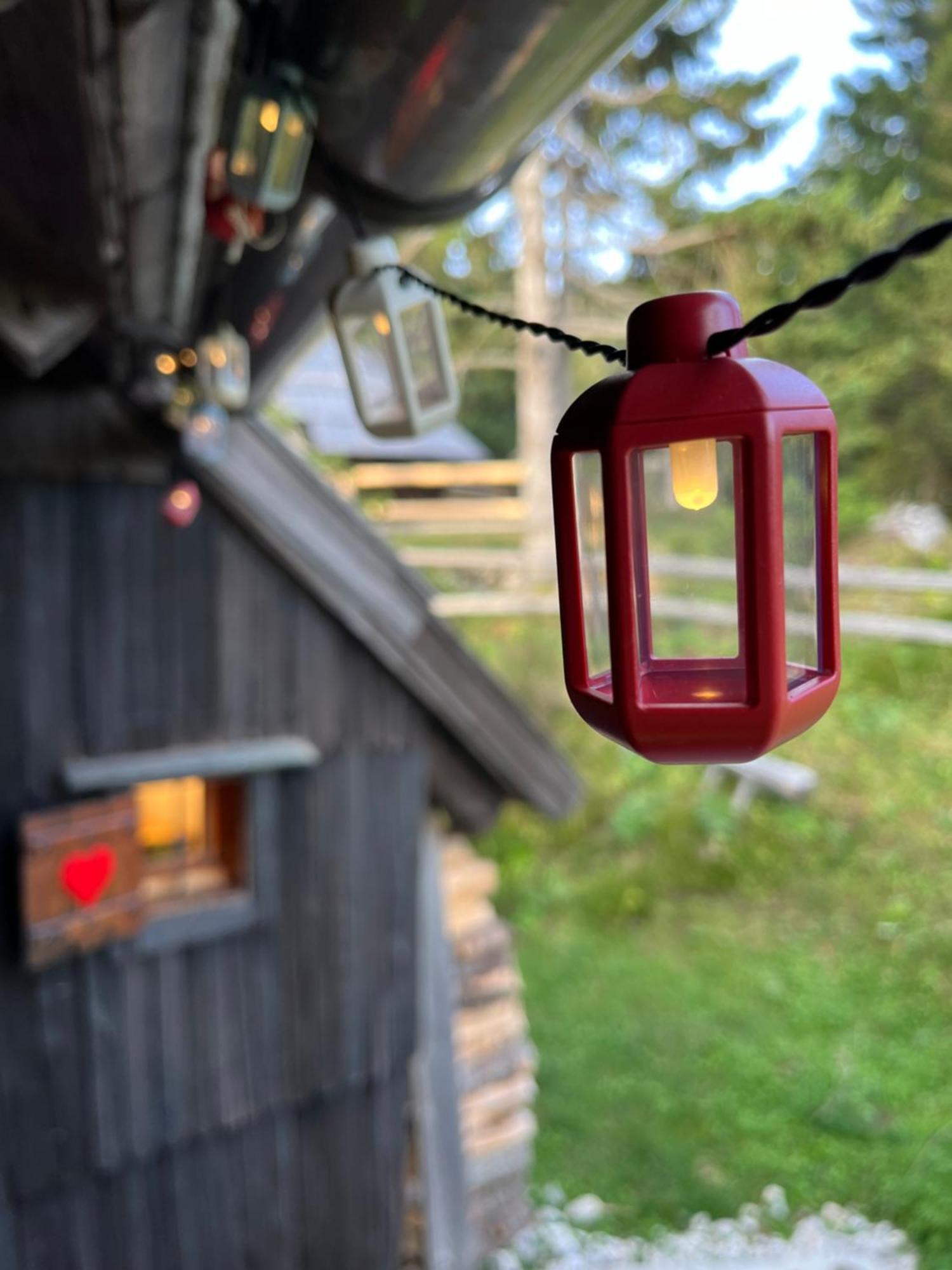 Velika Planina - Chalet Stane - Alps Stahovica Eksteriør bilde