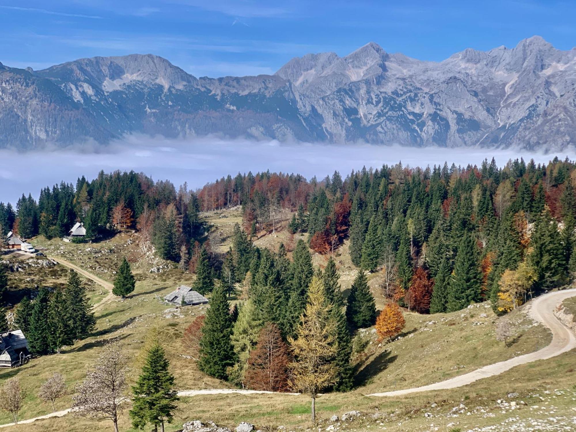 Velika Planina - Chalet Stane - Alps Stahovica Eksteriør bilde