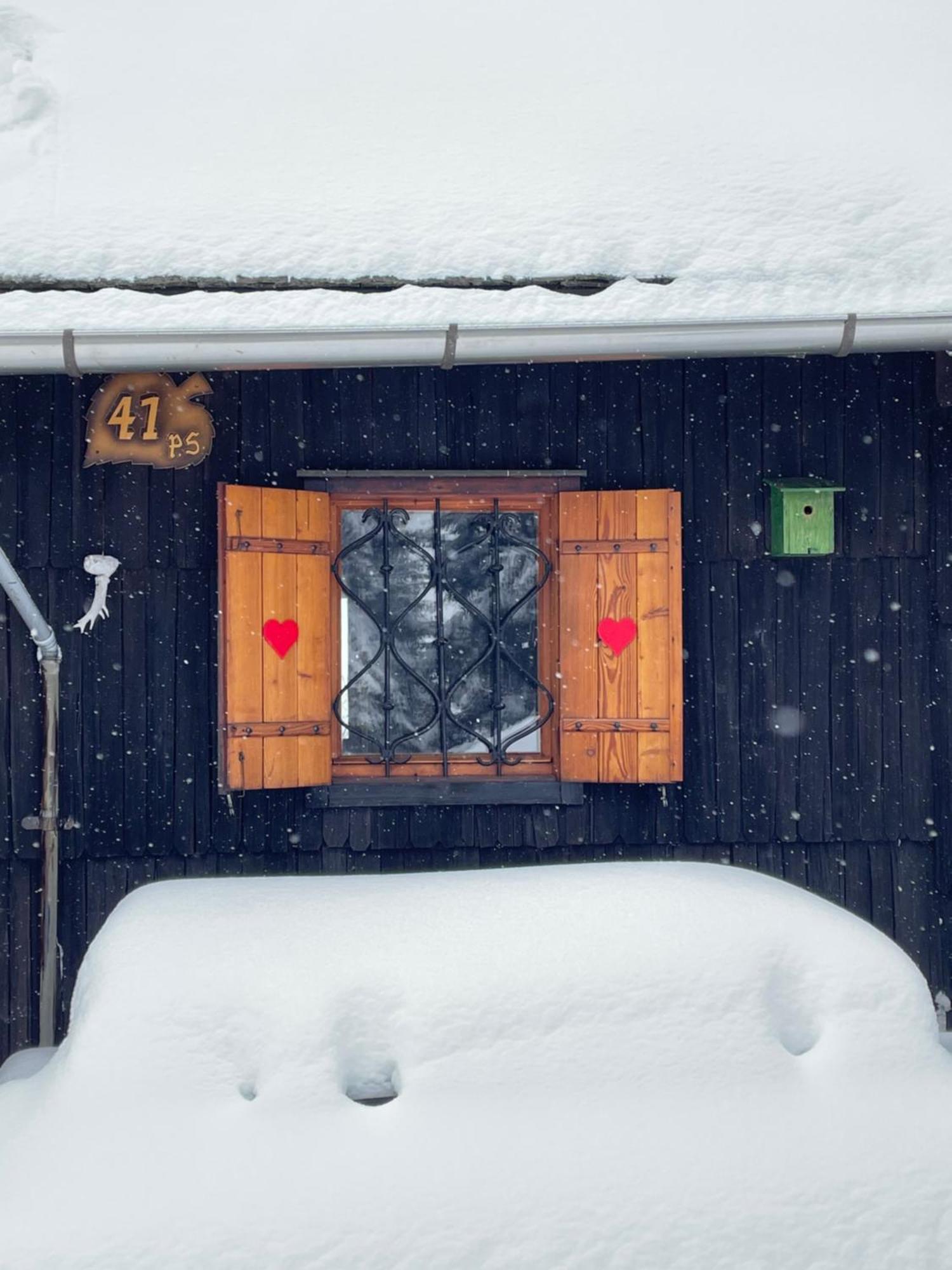 Velika Planina - Chalet Stane - Alps Stahovica Eksteriør bilde