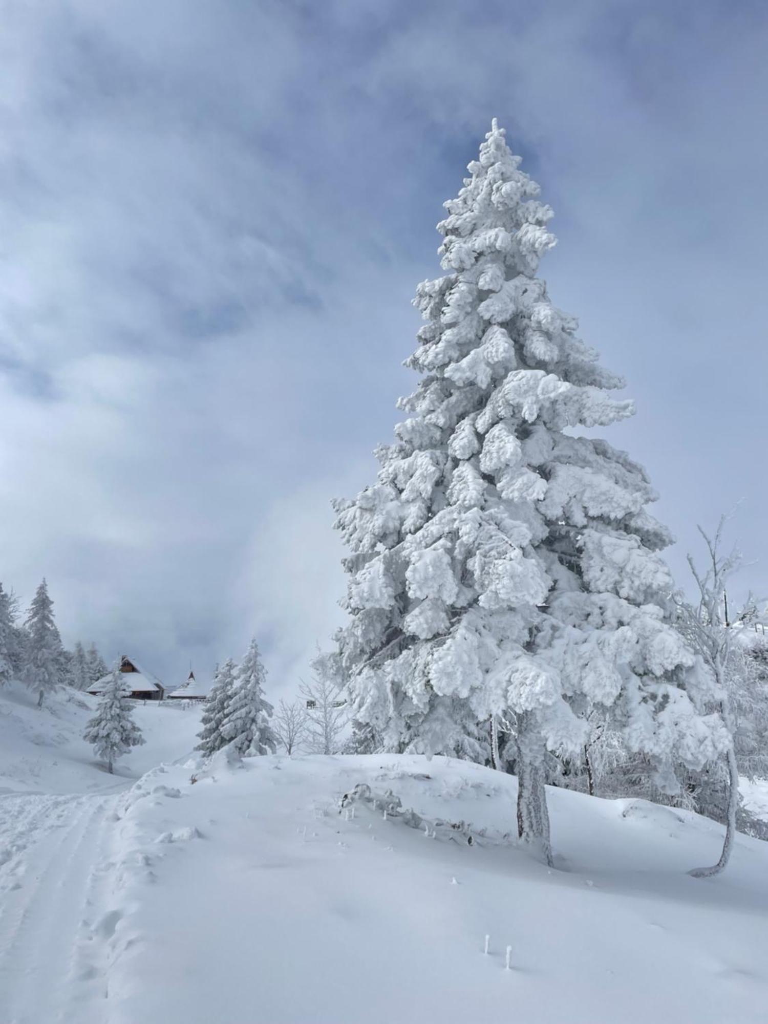 Velika Planina - Chalet Stane - Alps Stahovica Eksteriør bilde