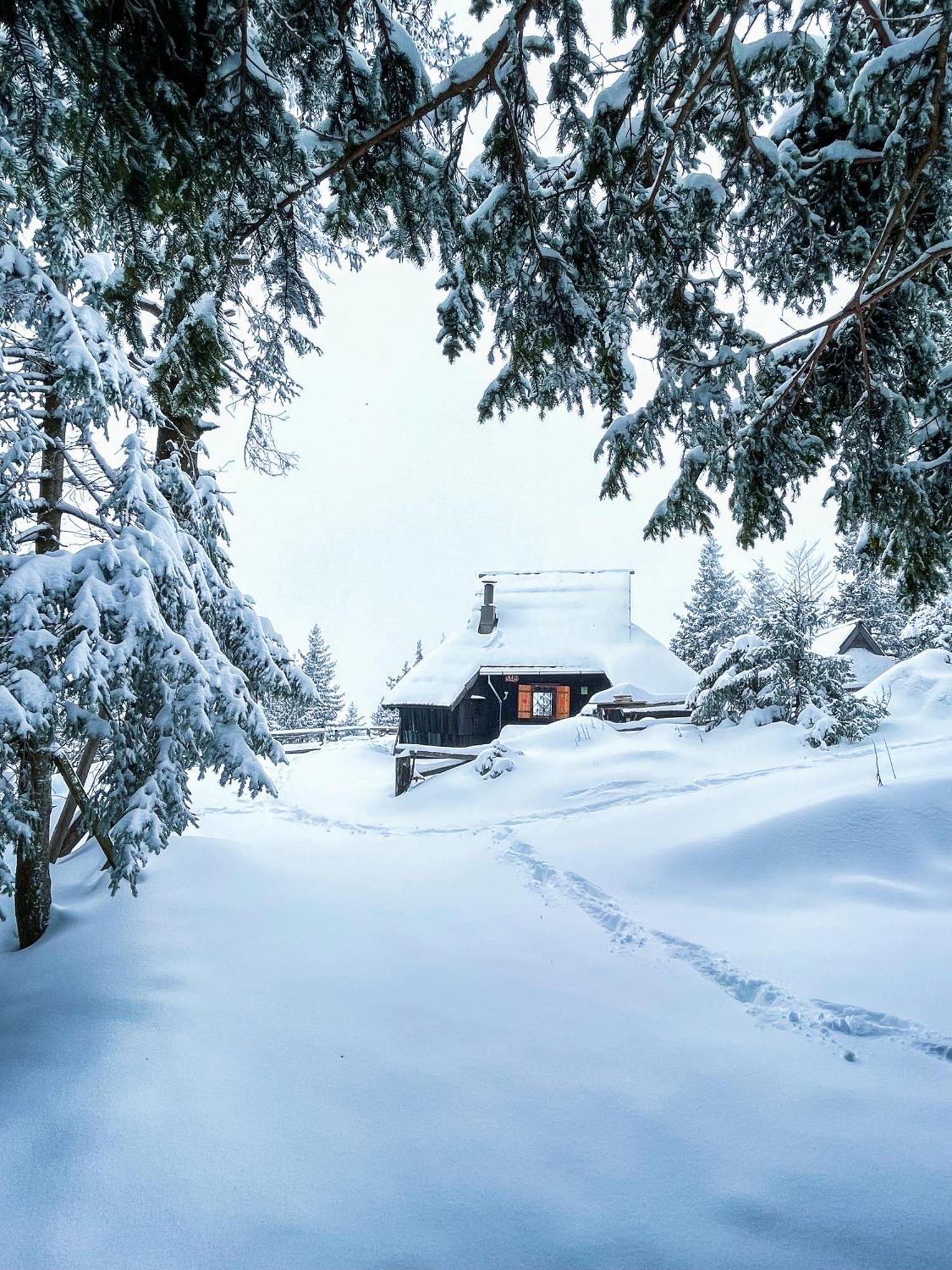 Velika Planina - Chalet Stane - Alps Stahovica Eksteriør bilde
